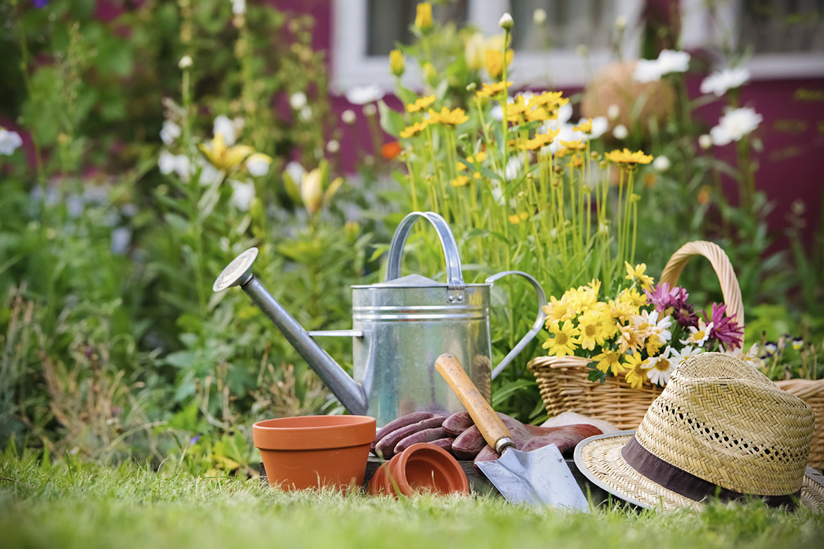 Frant Village Hall - Frant Gardening Club